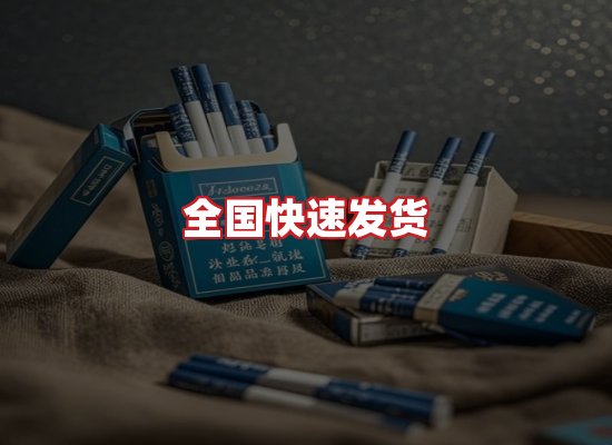 专业团队